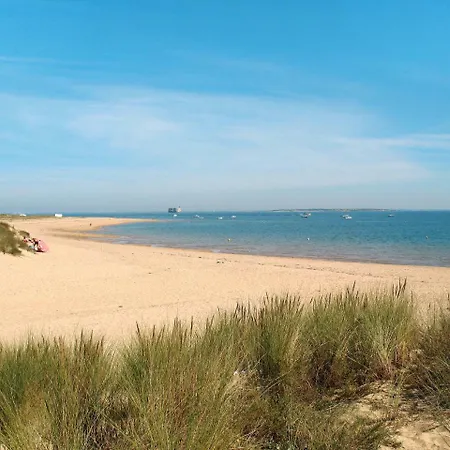 Dom wakacyjny Ferienhaus D'oleron 200s